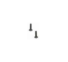 Cap Screw x 2