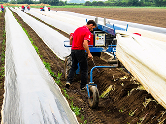 Nhân viên hiện trường